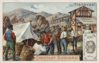 Mine, Transvaal by European School